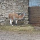 DSCN4939.JPG
