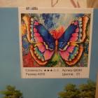 DSCN1226.JPG
