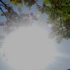 DSCN2064.JPG