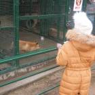 DSCN4819.JPG