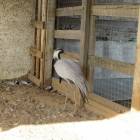 IMG_2596.JPG