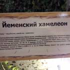 КК№46.Парк тропических бабочек.62347