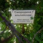 DSCN1615.JPG