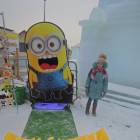 DSCN7010.JPG