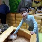 Контактный зоопарк. Казань.75591
