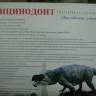 DSC05096.JPG