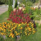 DSCN2434.JPG