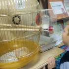 IMG_20171207_150305