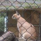 DSCN0174.JPG