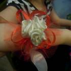 DSCN9907.JPG