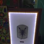 IMG_5750.JPG