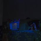 P5260355.JPG