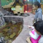 IMG_20171102_155044