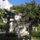 DSCN0090.JPG
