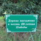 IMG_0988.JPG