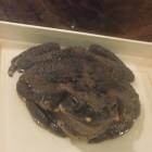 DSCN4848.JPG
