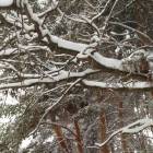 IMG-20171207-WA0005