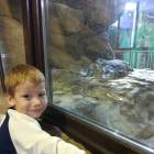 IMG_20171112_191826