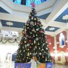 DSCN7048.JPG