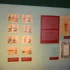 DSC05503.JPG