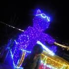 DSCN6782.JPG