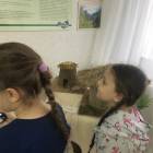 IMG_6744.JPG