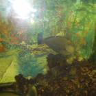 DSCN9932.JPG