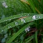DSCN0353.JPG