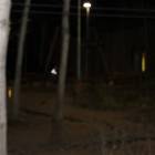 IMG_5469.JPG
