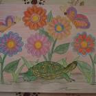 DSCN9109.JPG