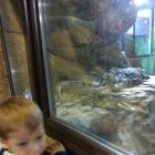 IMG_20171112_191839
