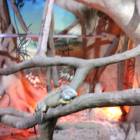 IMG_20171112_185045
