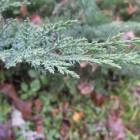 DSCN5046.JPG