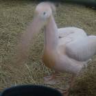 DSCN4960.JPG