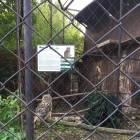 IMG_4167.JPG