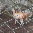 DSCN4940.JPG