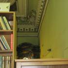 IMG_4193.JPG