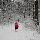 IMG_20171207_131355