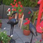 DSCN0764.JPG