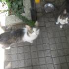 DSCN0589.JPG
