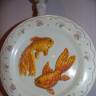 DSC04298.JPG