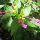 DSCN0548.JPG