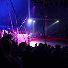 DSC07478.JPG