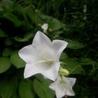 DSCN0639.JPG