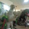 DSC05110.JPG