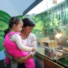 IMG_20171102_155429