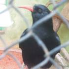 DSCN5032.JPG