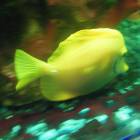 DSCN9941.JPG