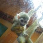 DSCN4823.JPG