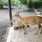 DSC05956.JPG